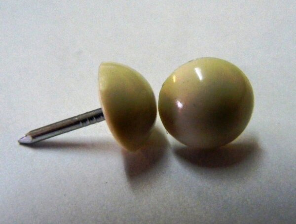 250 Plastik Ziernägel beige 10/12  Ø10mm rostfrei